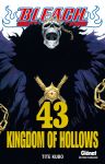 Bleach (manga) volume / tome 43