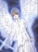 Angel sanctuary (manga) image de la galerie