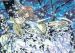 Tsubasa RESERVoir CHRoNiCLE (manga) image de la galerie